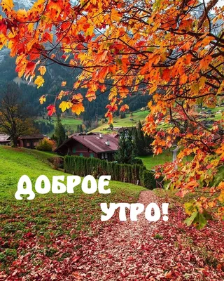 Картинки на тему #осень_утро - в Шедевруме