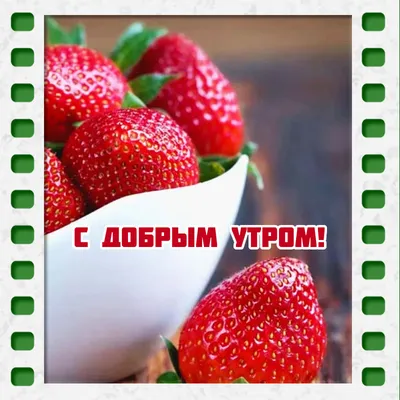Pin by Болдырева Марина on Доброе утро | Fruits images, Fruit photography,  Berries photography