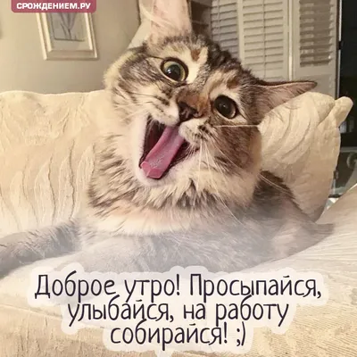 С добрым утром!