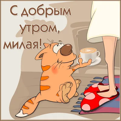 С добрым утром котики 😺💗!!!» — создано в Шедевруме