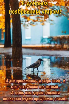 Открытки \"Доброе утро. Зимние\" (1219 шт.)