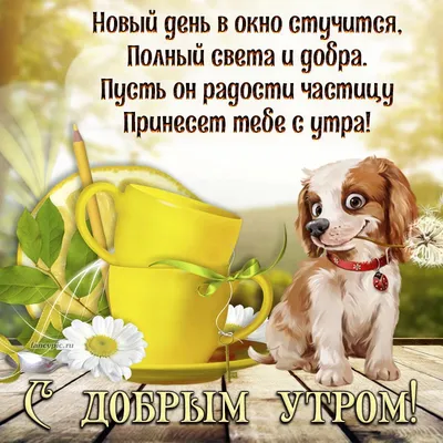 С ДОБРЫМ УТРОМ, ДОРОГИЕ МОИ!!! С... - Вдохновение ДУШИ | Facebook