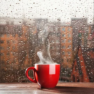 Сеющий с утра дождь (42 фото) - 42 фото