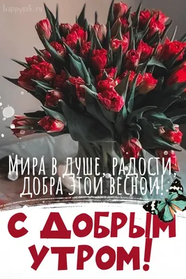 с добрым утром вторника весна｜TikTok Arama