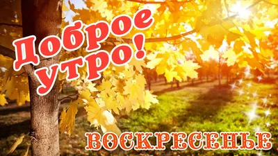 Открытки \"Доброго утра!\" в воскресенье (100+)