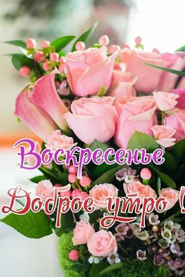 Открытка с воскресеньем, хорошего отдыха - GreetCard.ru