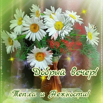Доброго вечера и ночи - Картинки Добрый вечер! Хорошего настроения!  картинки интернет друзьям - Спокойной ночи! … | Открытки, Ночь, Картинки  для поднятия настроения