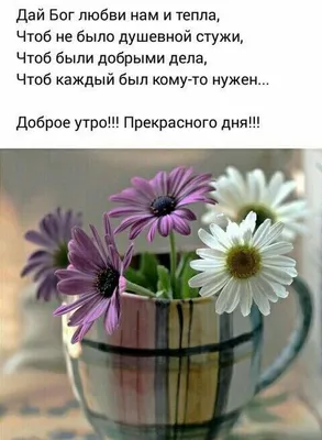 С добрым вечером, ДРУЗЬЯ! Неделя снова незаметно ... - ПРИВЕТСТВИЯ и  ПОЖЕЛАНИЯ, открытки на каждый день., №2596406394 | Фотострана – cайт  знакомств, развлечений и игр