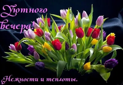 Добрый вечер друзья открытки с пожеланиями - 69 фото