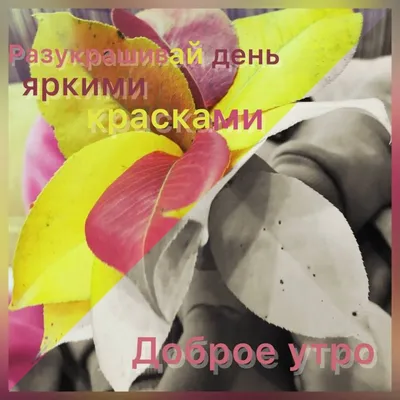 С Добрым утром, друзья! (Марина Гребенюк Николаева) / Стихи.ру