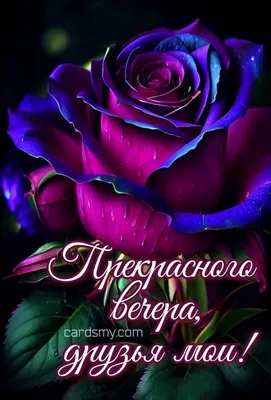 Красиво и просто - С Добрым утром, Друзья! | Facebook