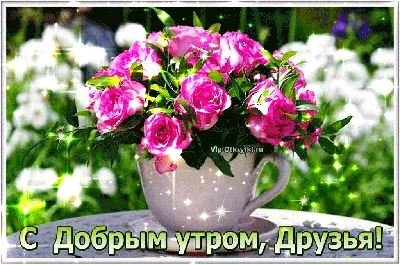 С ДОБРЫМ УТРОМ ДРУЗЬЯ ! | От души, для друзей! | VK