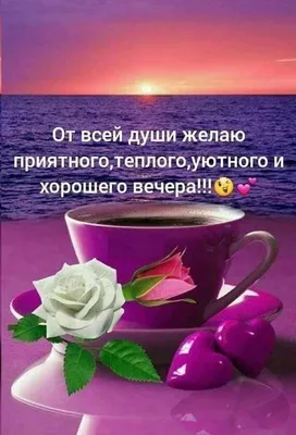 С добрым утром, друзья