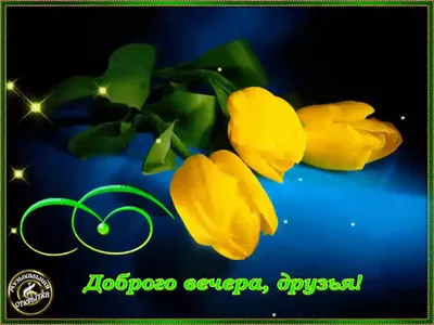 Прекрасного вечера друзья - Доброго вечера добрые открытки
