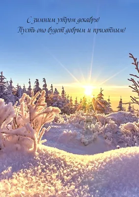 Красивые картинки с добрым зимним утром (48 лучших фото)