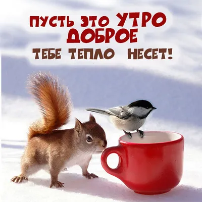 Хорошего дня зима кофе (много фото) - treepics.ru