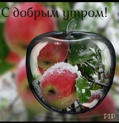 Любовь и жизнь - Доброе утро, дорогие друзья! 💖💖🤗 | Facebook