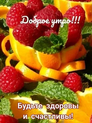 СЪЕДОБНЫЕ БУКЕТЫ НА ЗАКАЗ - Доброе утро ☀️ . Бутылка шампанского и фрукты  🍇 🍎🍑🍒 . Оригинальное сочетание для подарка 🤗🌹 . #frutteto54  #фруктовыебукеты #букетназаказнск #букетизфруктовнск #фруктовыйбукетнск  #букетизовощейифруктовнск #новосибирск ...