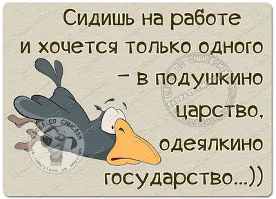 Слова со смыслом|Женский Юмор, Статусы, Цитаты | Юмор о работе, Смешные  высказывания, Юмористические цитаты