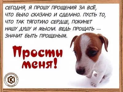 Как извиниться перед девушкой, если сильно виноват, чтобы простила: 50  вариантов