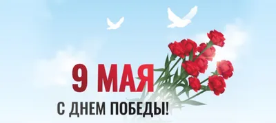 С Днем Победы! | ГБУ РО «Ростовская облСББЖ с ПО»