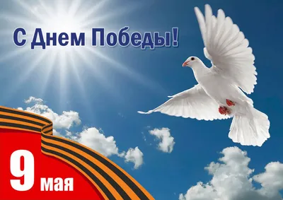 С Днём Победы 9 мая!