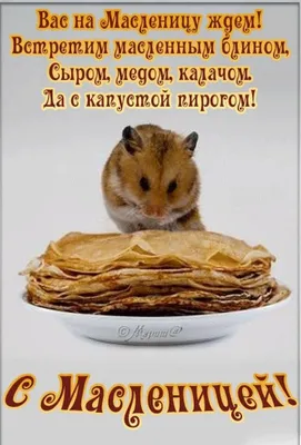 Масленица-2021 в Тольятти