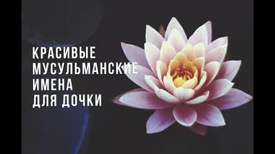 Мусульманские имена🙏#дети#имена#красивоеимясыну#беременность#будющийр... |  TikTok