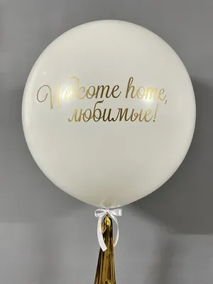 Купить Шар на выписку Добро пожаловать малышка! SH-100502 в Алматы по  низкой цене 2500 KZT в интернет магазине PapaShar