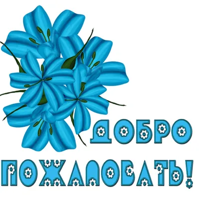 Коврик для входной двери с надписью \"Добро пожаловать\" | AliExpress