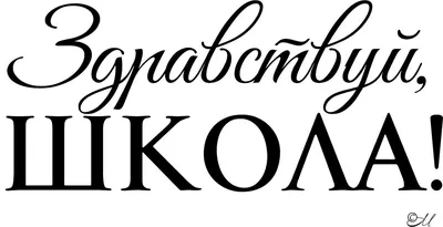 Набор носков в мешке с надписью «Бокс - лучшая школа жизни»