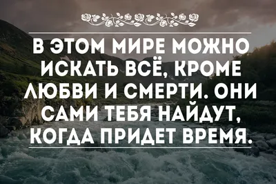 Прикольные картинки про жизнь с надписями