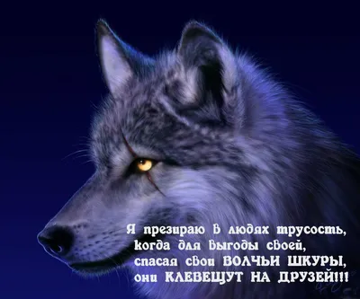 Кружка cooperative.moscow \"Вечно молодой - вечно пьяный , мотивационная  надпись, кружка с приколом, подарок со смыслом, кружка в подарок,  мотивационный подарок, подарок любимому\", 330 мл - купить по доступным  ценам в интернет-магазине OZON (899631511)