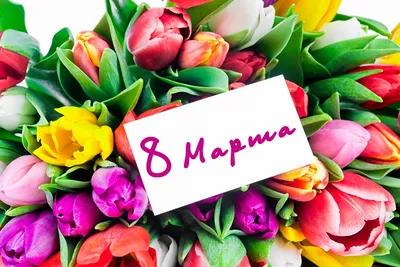 Поздравления с 8 Марта и красивые картинки на 8 Марта