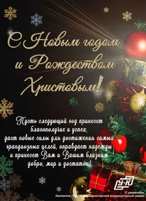 С НОВЫМ ГОДОМ И РОЖДЕСТВОМ ХРИСТОВЫМ! » БПФ ГОУ «ПГУ им. Т.Г. Шевченко» -  Официальный сайт