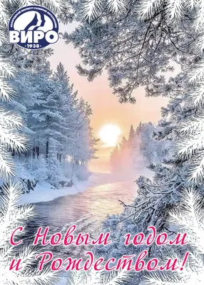 Поздравление с Новым Годом и Рождеством! | Портал Иркутской области