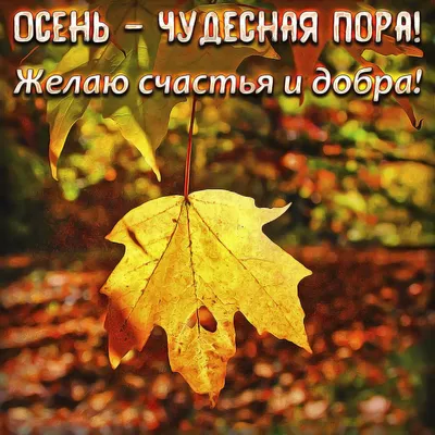 Открытки с первым днем осени с первым днем осени...