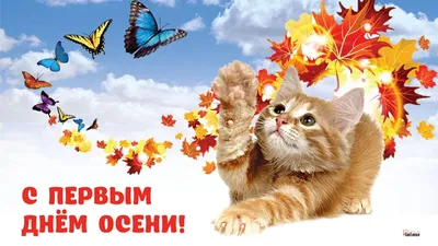 С ПЕРВЫМ ДНЁМ ОСЕНИ! ~ Открытка (плейкаст)