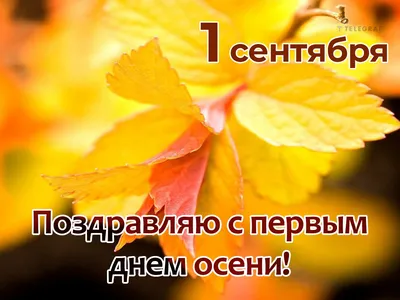 Первый день осени - красивые открытки и смс поздравления - Апостроф