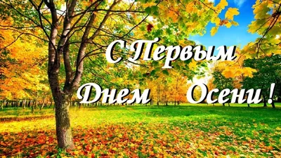 С первым днём осени! - Компания ФОРСАГРО