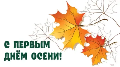 НСБ on X: \"Доброе утро дорогая группа. С первым днем осени Вас. Пусть эта  осень будет самой теплой и уютной в вашей жизни. #нсб  https://t.co/nJcFhG5ceR\" / X