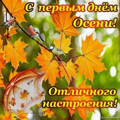 С первым днем осени: открытки и картинки