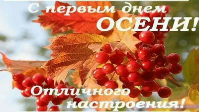 С первым днем осени — открытки, стихи, картинки на 1 сентября — какой  сегодня праздник / NV