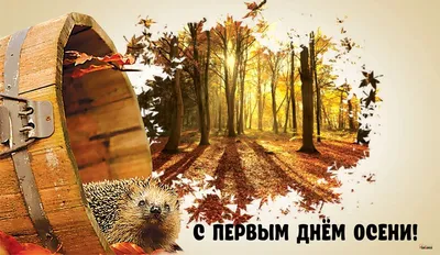С первым днём осени! С Днём знаний! С началом учебного года! - НовДента
