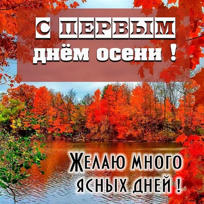 С первым днем осени: красивые и прикольные картинки для поздравления с 1  сентября - МК Новосибирск