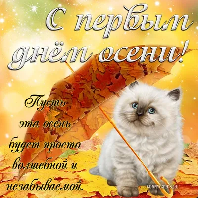 Первый день осени поздравления - картинки, открытки и видео на 1 сентября -  Телеграф