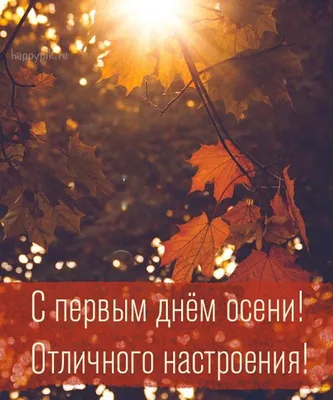 С первым днём осени. Привет, осень. 60 уютных картинок! | Позитивные  цитаты, Цитаты, Вдохновляющие цитаты