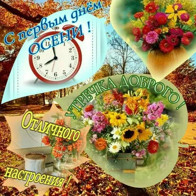 С днем знаний! С первым днем осени! - PRO Кино - Страна Мам