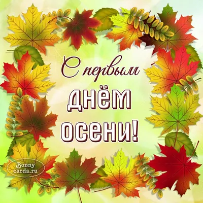 Поздравляем вас с первым днём осени! Ловите самые счастливые моменты этой  прекрасной поры, а настроение вам.. | ВКонтакте