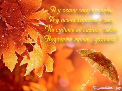 Подборка открыток и картинок с поздравлениями с первым днем осени - МК  Волгоград